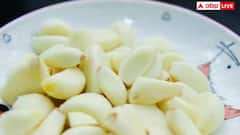 શું લસણ અને મધ સાથે ખજૂર ખાવાથી વધી જાય છે સ્પર્મ કાઉન્ટ, શું કહે છે ડોક્ટરો ?