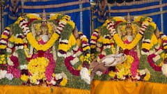 வைகுண்ட ஏகாதசி: வல்லக்கோட்டை முருகன் சிறப்பு அலங்காரம்! அதிசயம் காத்திருக்கிறது!