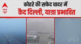 Delhi Fog: उत्तर भारत में कोहरे और ठंड का कहर जारी, सड़क पर रेंगती नजर आई गाड़ियां | Pollution | AQI