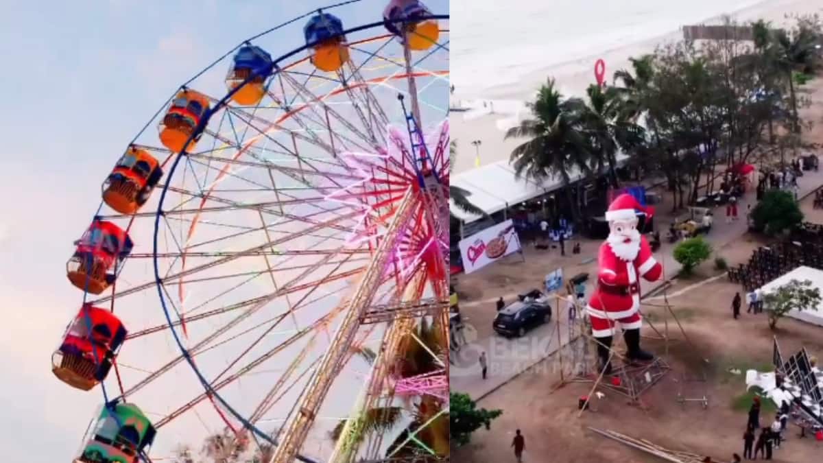 The Art of Baking: From Classic Bread to Artisan Pastries