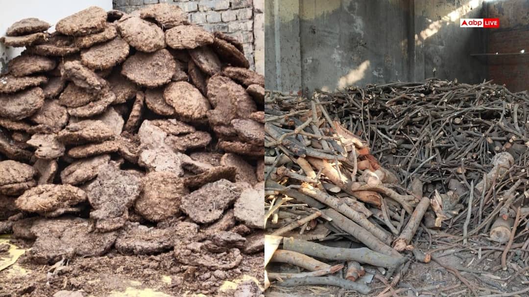 दिल्ली में अब लकड़ियों से नहीं होगा अंतिम संस्कार, गाय के गोबर से बने उपलों से जलाई जाएगी चिता Delhi MCD graveyard Last Rites Performed by Cow Dung cakes in place of Wood ANN दिल्ली में अब लकड़ियों से नहीं होगा अंतिम संस्कार, गाय के गोबर से बने उपलों से जलाई जाएगी चिता