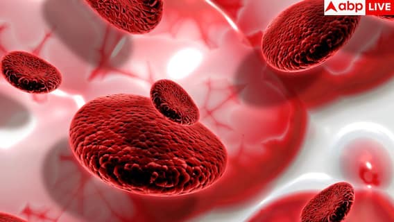 Artery Blockage Symptoms: हार्ट अटैक और स्ट्रोक से बचना है? जानिए धमनियों को हेल्दी रखने के 3 तरीके