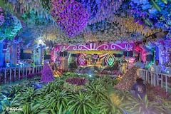 Tirumala: తిరుమలలో వైకుంఠ ఏకాదశి శోభ! ఆలయంలో పుష్పాలంకరణ చూస్తే చూపు తిప్పుకోలేరు!