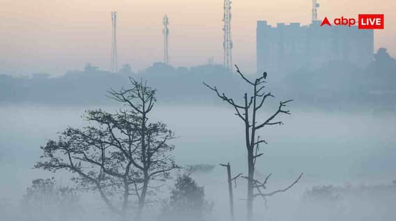 कोहरे में लेट हो रहीं उड़ानें, ऐसे चेक करें अपनी फ्लाइट का लाइव स्टेटस