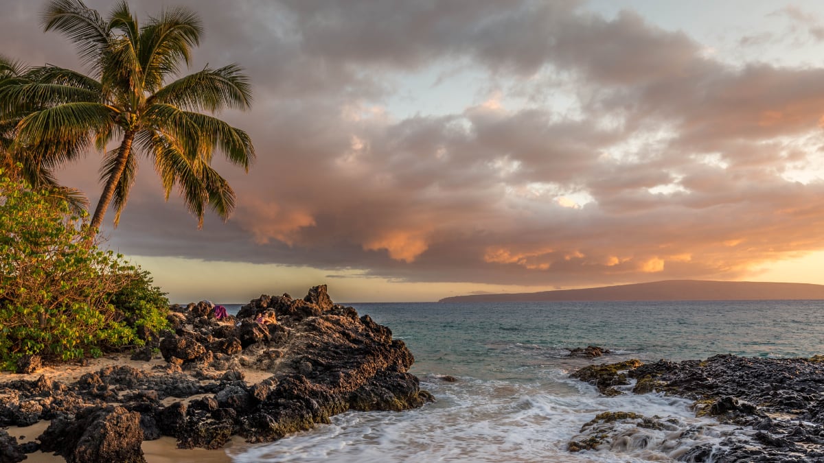 ABP Live Budget Traveller: Experience The Magic Of Goa’s New Year Celebration Under ₹5,000