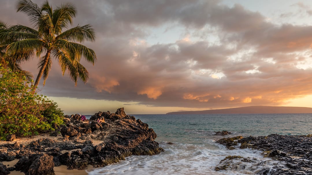 ABP Live Budget Traveller: Experience The Magic Of Goa’s New Year Celebration Under ₹5,000