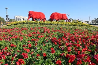 અમદાવાદ રિવરફ્રન્ટ પર ફ્લાવર શૉ: કોને મળશે ફ્રી એન્ટ્રી? ટિકિટ બુકિંગથી લઈને રિફંડ સુધીના નવા નિયમો