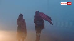 यूपी में ठंड से कांपे लोग, बरेली से गोरखपुर तक घने की कोहरे की चादर, 25 जिलों में कोल्ड-डे का अलर्ट