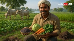 कम लागत-ज्यादा मुनाफा: जैविक खेती कैसे बन रही यूपी के किसानों की पहली पसंद?