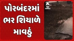 Porbandar Unseasonal Rain: પોરબંદરમાં ભરશિયાળે માવઠું, એરપોર્ટ વિસ્તારમાં વરસ્યા ઝાપટા