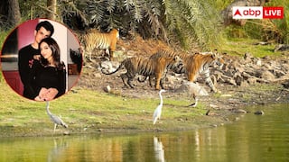 कितनी खूबसूरत जगह है रणथम्भौर, यहां घूमने के लिए कौन-कौन सी जगहें?