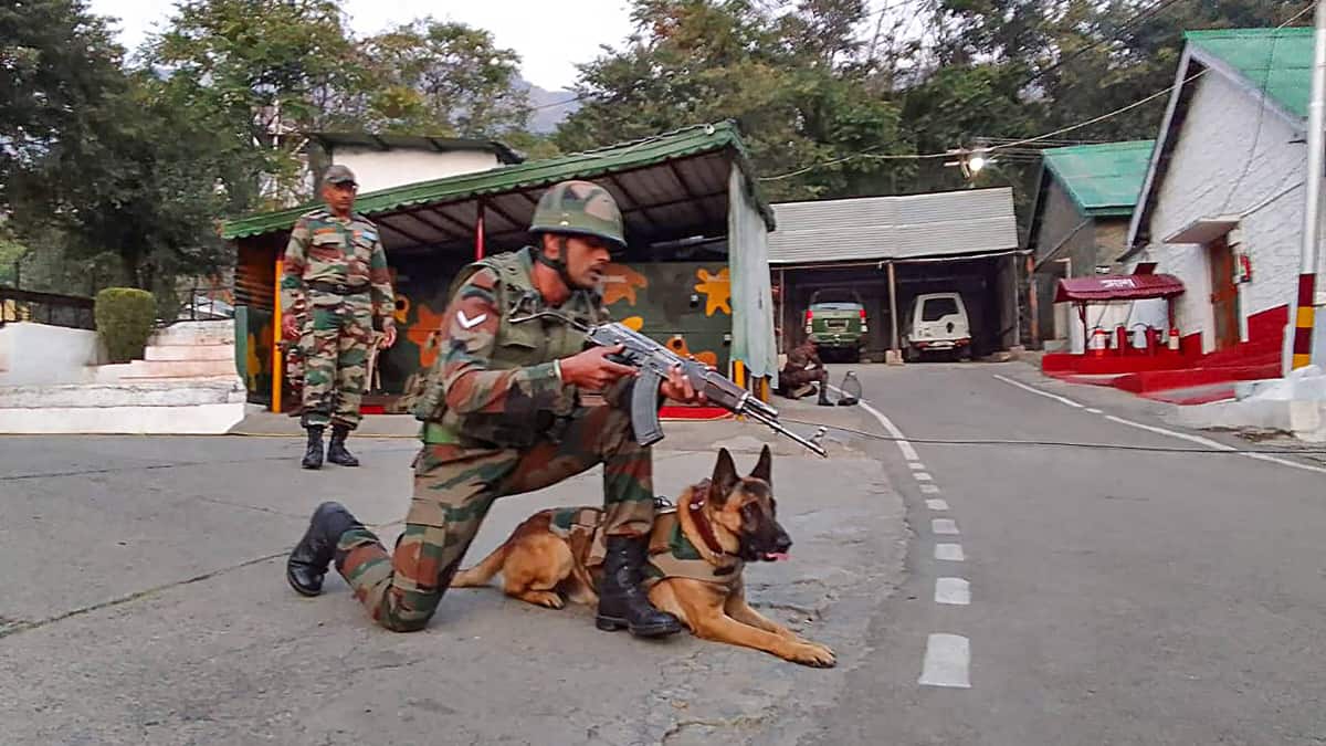Indian Army’s Animal Contingent To Debut At Republic Day 2026 Parade
