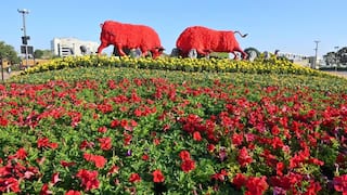 अहमदाबाद रिवरफ्रंट पर फ्लावर शो में किसे मिलेगी फ्री एंट्री? जानिए टिकट बुकिंग से लेकर रिफंड तक के नियम