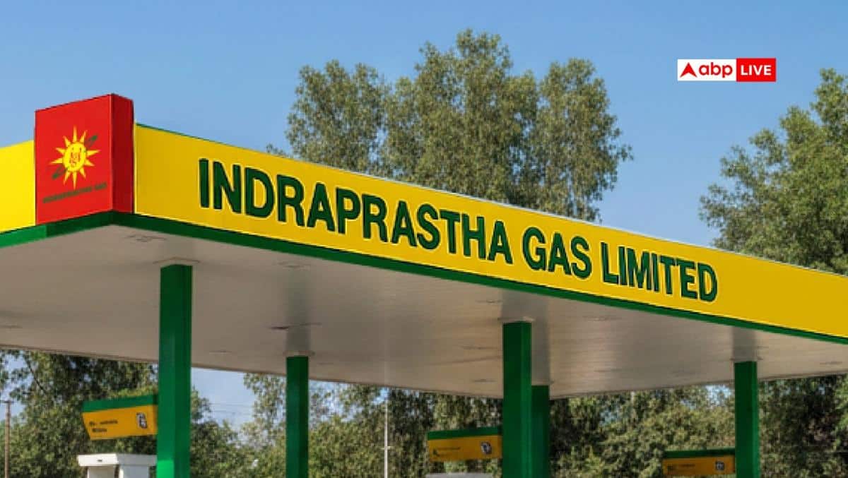 नए साल से पहले दिल्ली-NCR में घटे PNG के दाम, जानें नया रेट