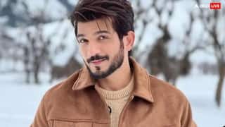अर्जुन बिजलानी के करीबी की बिगड़ी तबीयत, न्यू ईयर सेलिब्रेशन छोड़ दुबई से भारत लौटे एक्टर