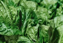 Spinach Juice: પાલકનો રસ આંખો માટે ખૂબ જ ફાયદાકરાક, જાણો તેને પીવાથી બીજા ક્યાં ફાયદા થશે