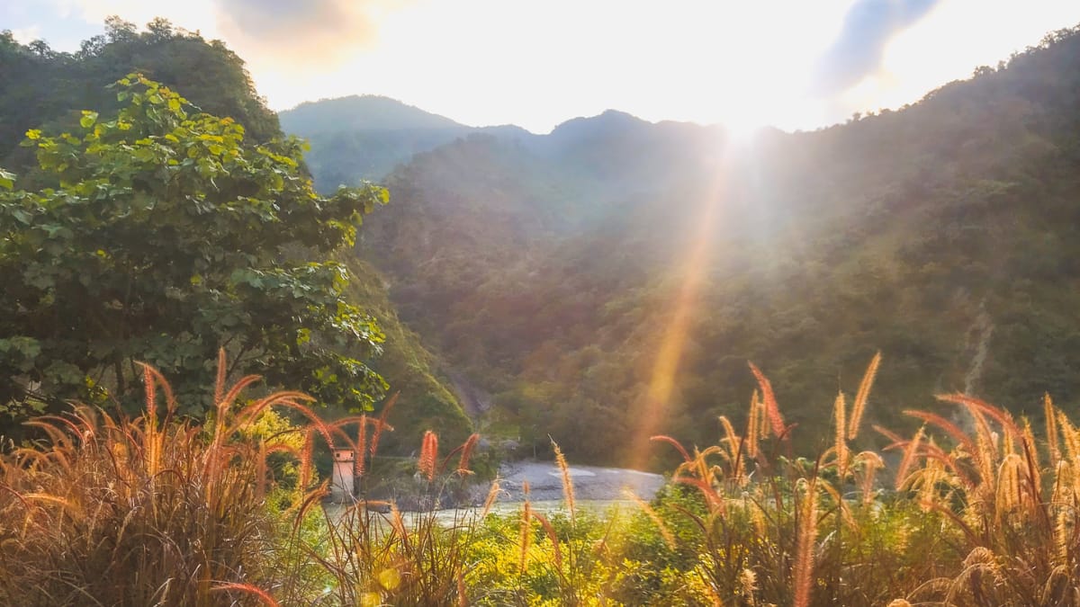 (Image Source: Twitter/@TajRishikesh)