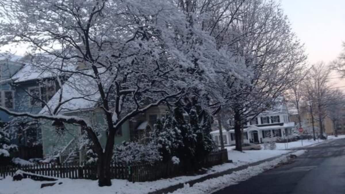 (Image Source: Twitter/@biogeek7)