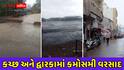 ભરશિયાળે માવઠું: કચ્છ અને દ્વારકામાં કમોસમી વરસાદ, ખેડૂતોના જીવ તાળવે ચોંટ્યા