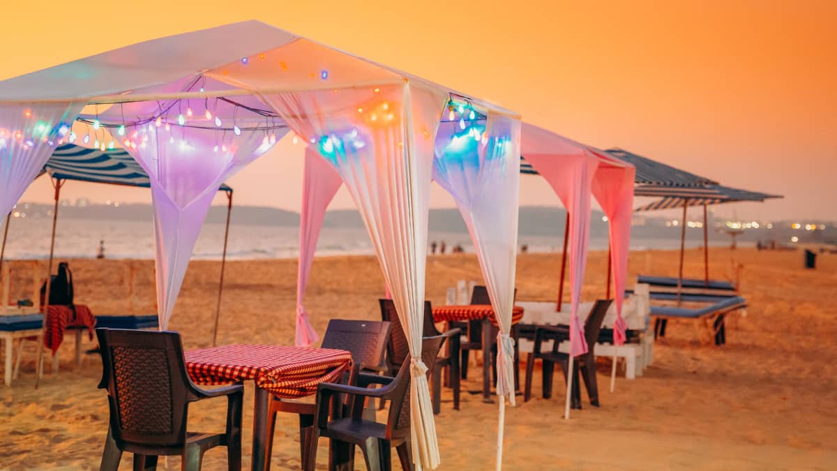 (Image Source: Canva)