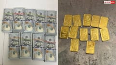 मुंबई एयरपोर्ट पर कस्टम्स का बड़ा ऑपरेशन, ड्रग्स और सोने के साथ विदेशी मुद्रा जब्त