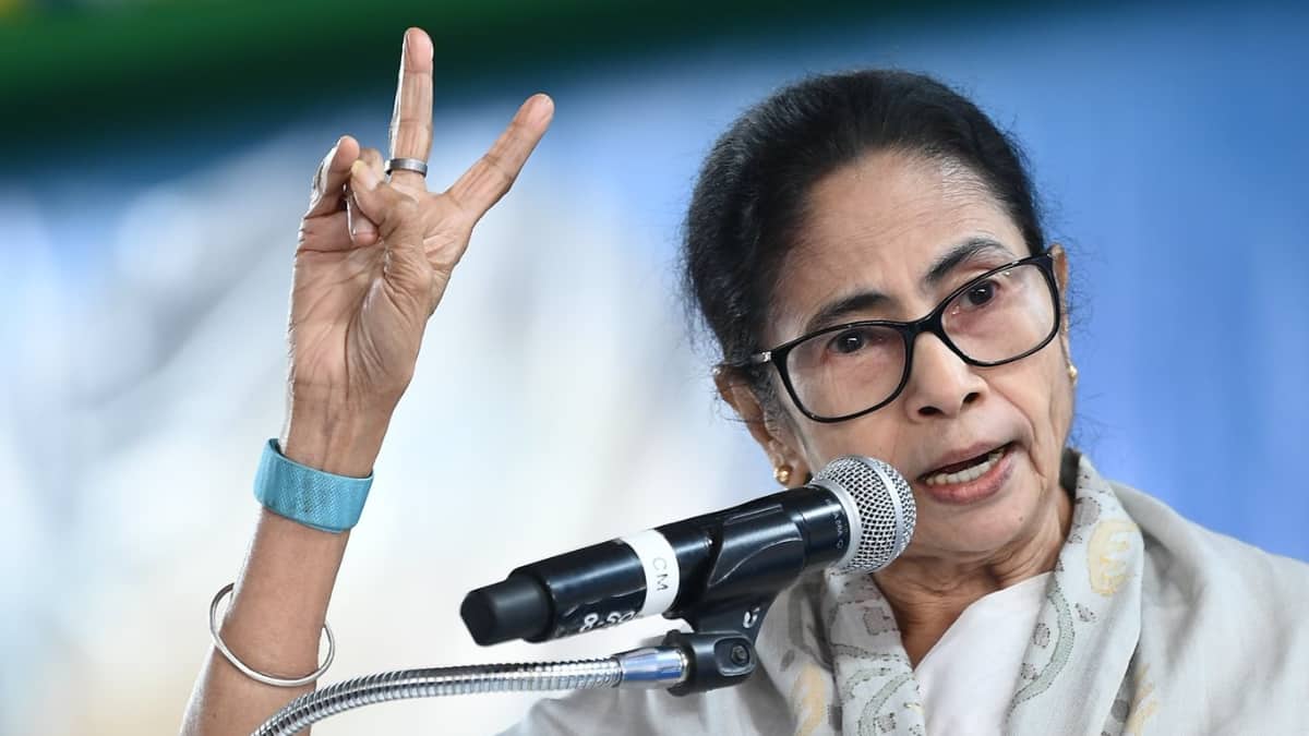 The Art of Baking: From Classic Bread to Artisan Pastries