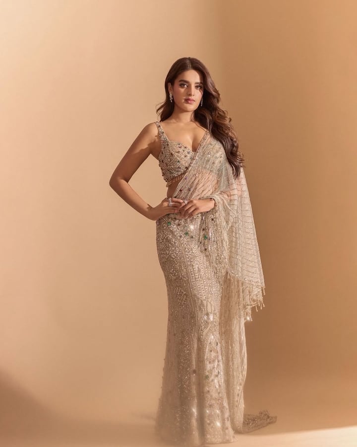 निधि अग्रवाल का जन्म 17 अगस्त 1993 को हैदराबाद में हुआ था। उनके पिता राजेश अग्रवाल कराटे खिलाड़ी हैं।