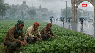 Gujarat Weather: कड़ाके की ठंड में इस जिले में बेमौसम बारिश, जानिए मौसम विभाग ने क्या की है भविष्यवाणी