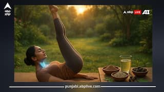 ਹਾਰਮੋਨਲ ਸੰਤੁਲਨ ਲਈ ਯੋਗ ਵਰਦਾਨ! ਜਾਣੋ ਉੱਜਾਈ ਪ੍ਰਾਣਾਯਾਮ ਕਿਵੇਂ ਬਦਲ ਸਕਦਾ ਤੁਹਾਡੀ ਸਿਹਤ...ਯੋਗ ਅਤੇ ਆਯੁਰਵੇਦ ਨਾਲ ਕੁਦਰਤੀ ਇਲਾਜ!