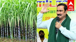 தை பிறந்தால் வழி பிறக்கட்டும், வலி வேண்டாம்! - பொங்கல் தொகுப்பு குறித்து பா.ம.க. அறிக்கை