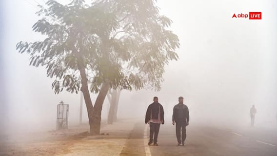 Punjab Weather: पंजाब में ठंड का कहर, आज से 3 दिन घने कोहरे का रेड अलर्ट जारी, जानें मौसम का ताजा हाल