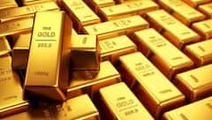 Gold Rate: નવા વર્ષે સોનાની કિંમતમાં વધારો, ચાંદીના ભાવ સતત બીજા દિવસે ઘટ્યા, ચેક કરો કિંમત