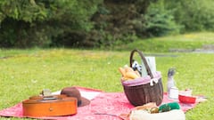 New Year 2026: 6 Picnic Spots In Delhi To Celebrate The First Day Of The Year