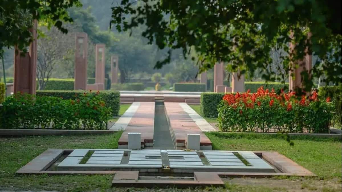 (Image Source: x/ sundernursery)