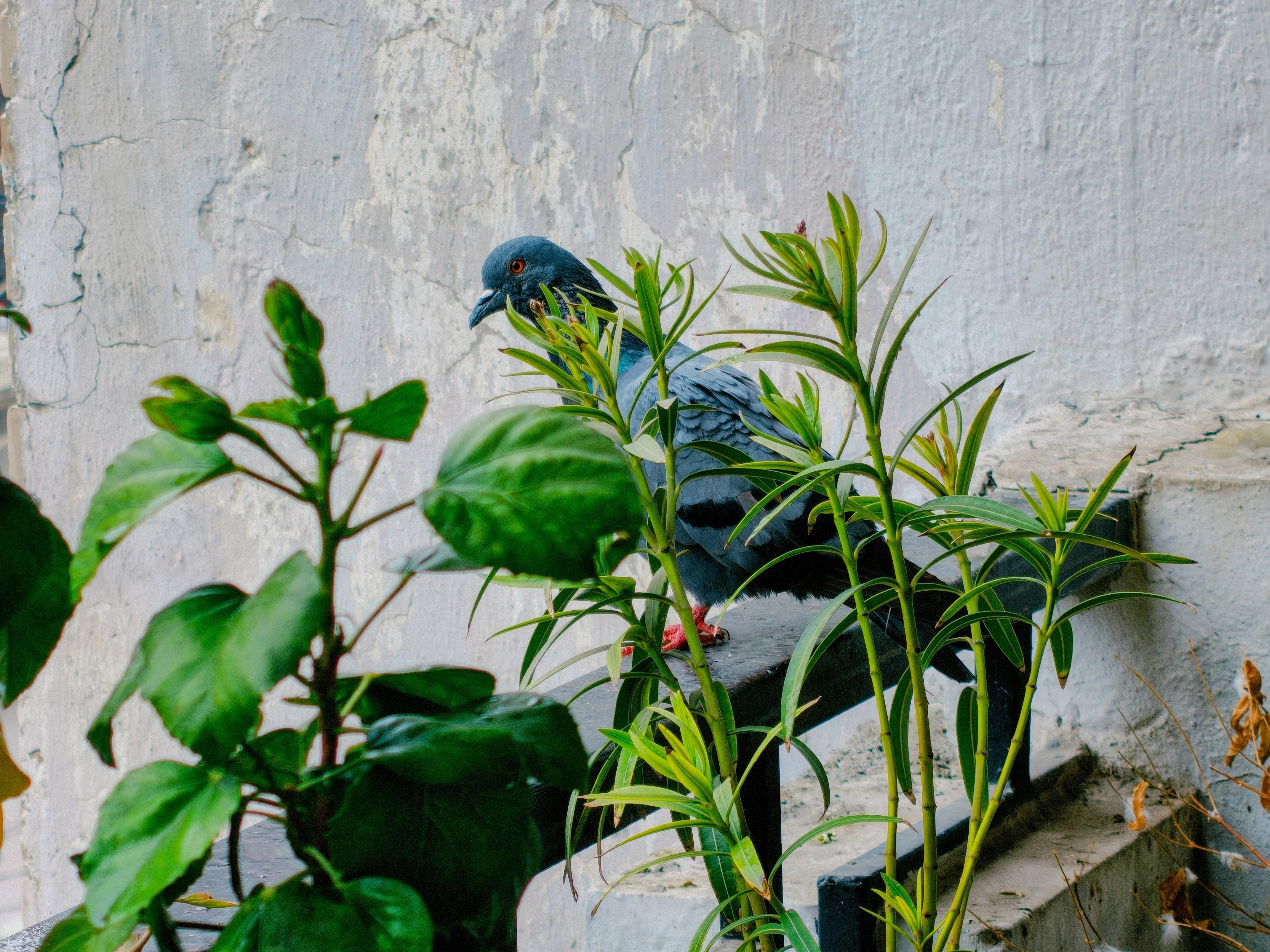 Gadgets Review | Oppo Find X9: When A 'Compact' Phone Starts Taking Protein Shakes