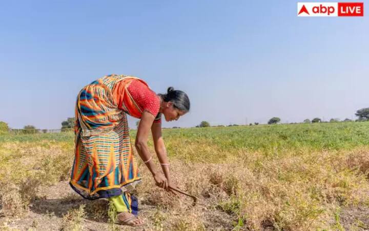 જો આપણે સરકારની હપ્તા આપવાની જૂની પદ્ધતિ પર નજર કરીએ તો, દરેક હપ્તો લગભગ દર ચાર મહિને જારી કરવામાં આવે છે. આ પદ્ધતિને અનુસરીને, સરકારે 19 નવેમ્બર, 2025 ના રોજ 21મો હપ્તો જારી કર્યો હતો.