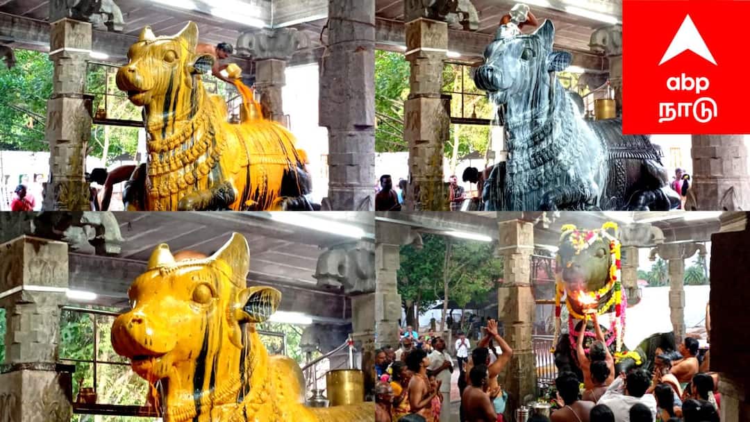 நந்தனாருக்காக நந்தி விலகிய திருப்புன்கூர் சிவலோகநாதர் கோயிலில் புத்தாண்டு மற்றும் பிரதோஷ வழிபாடு - திரளான பக்தர்கள் தரிசனம்