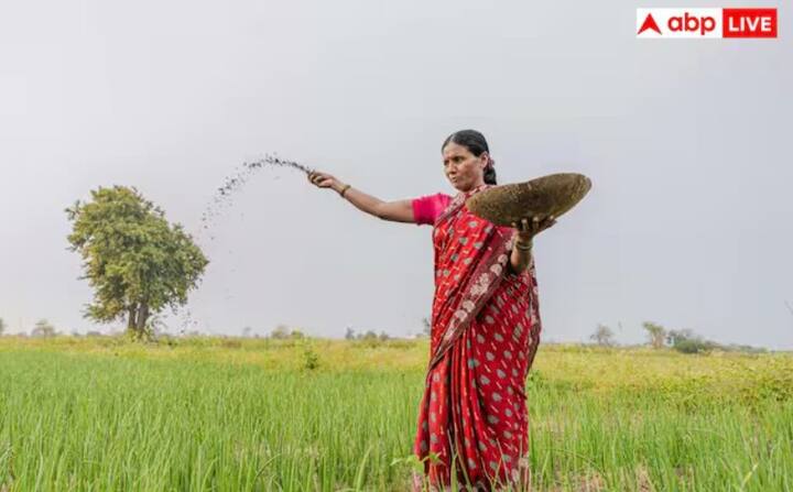 દેશભરના લાખો ખેડૂતો આશા રાખે છે કે પ્રધાનમંત્રી કિસાન સન્માન નિધિ યોજનાનો 22મો હપ્તો શક્ય તેટલી વહેલી તકે તેમના બેંક ખાતામાં ટ્રાન્સફર કરવામાં આવશે, અને સરકાર આ વર્ષના બજેટમાં તેમને ખોરાક આપતા ખેડૂતો માટે ઘણી અન્ય મહત્વપૂર્ણ યોજનાઓ લાગુ કરશે.