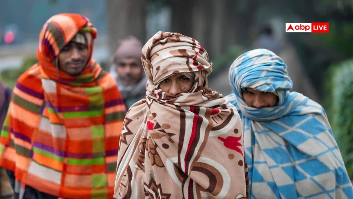 दिल्ली में अभी शीतलहर नहीं छोड़ेगी पीछा, मौसम विभाग ने दिया अपडेट