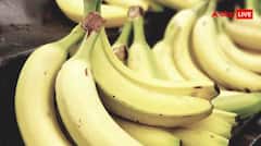 शराब पीने के बाद खराब हो गया पेट? ये 6 देसी नुस्खे तुरंत देंगे राहत