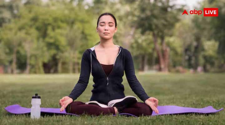 सिर्फ खाना ही नहीं, एक्सरसाइज भी हड्डियों को मजबूत बनाती है. वेट ट्रेनिंग और हल्की दौड़ हड्डियों पर दबाव डालती है. इससे नई हड्डियों की कोशिकाएं बनने लगती हैं, मजबूत मांसपेशियां गिरने का खतरा कम करती हैं. रोजाना 30 से 40 मिनट तेज चाल से चलना, सीढ़ियां चढ़ना या हल्की वेट एक्सरसाइज बहुत फायदेमंद होती है.