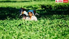 2026 માં આ મહિને આવશે કિસાન યાજનાનો 22મો હપ્તો, ચેક કરી લો તમારું સ્ટેટસ