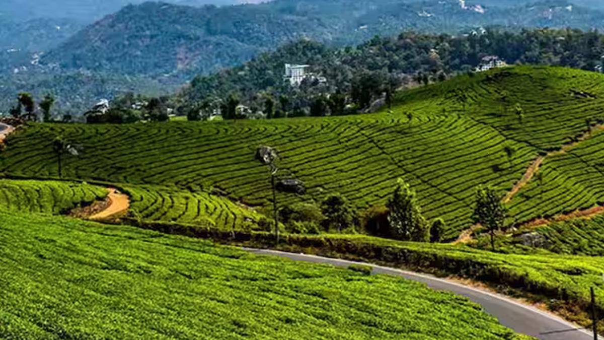 munnar: 2025-ல் ஆசியாவின் சிறந்த கிராமப்புற ஓய்விடம்! இயற்கை ரம்மியத்தை அனுபவிக்க ஒரு வாய்ப்பு!