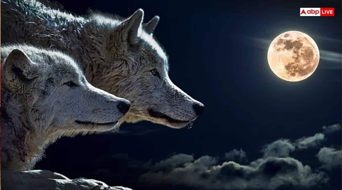 Wolf Moon Paush Purnima 2026: साल की पहली पौष पूर्णिमा पर आसमान में दिखेगा वुल्फ मून, जानिए समय