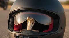 Maharashtra: घर के अंदर रखे हेलमेट में घुसकर बैठ गया कोबरा, सांप देखकर चीख उठी लड़की, वीडियो वायरल