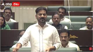 CM Revanth Reddy About Musi Project: మూసీలో కాలుష్యం కంటే కొందరి కడుపులో ఎక్కువ విషం ఉంది: అసెంబ్లీలో రేవంత్ రెడ్డి