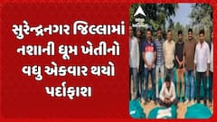 Surendranagar News: સુરેન્દ્રનગર જિલ્લામાં નશાની ધૂમ ખેતીનો વધુ એકવાર થયો પર્દાફાશ