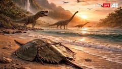 Prehistoric Animals: ડાયનાસૉરની સાથે ધરતી પર આવ્યા હતા આ જાનવર, હજુ સુધી છે જીવિત