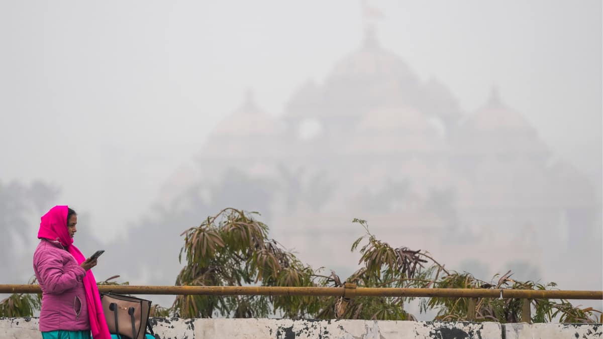 The Art of Baking: From Classic Bread to Artisan Pastries