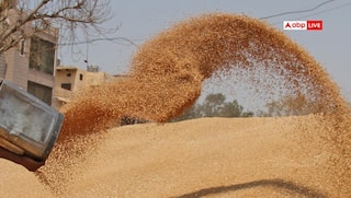 UP में राशन माफियाओं पर तकनीक का वार, 5000 से अधिक वाहन GPS से लैस, चोरी पर लगी रोक